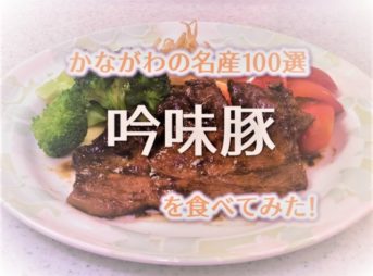 ふるさと納税レビュー！神奈川県海老名市の「吟味豚」を食べてみた！