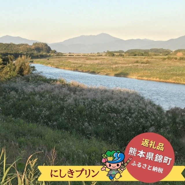 全国的にも珍しいツクシイバラが自生している！球磨川沿いで栄える錦町