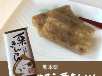 熊本県人吉市のふるさと納税返礼品｜ブランド栗で作った「やまえ栗きんとん」を食べてみた